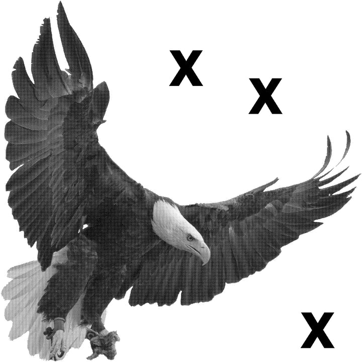 Bald eagle with open wigns in mid flight - High Detail Airbrush stencil HD stencils