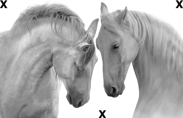 Couple of beautiful white horses - High Detail Airbrush stencil HD stencils