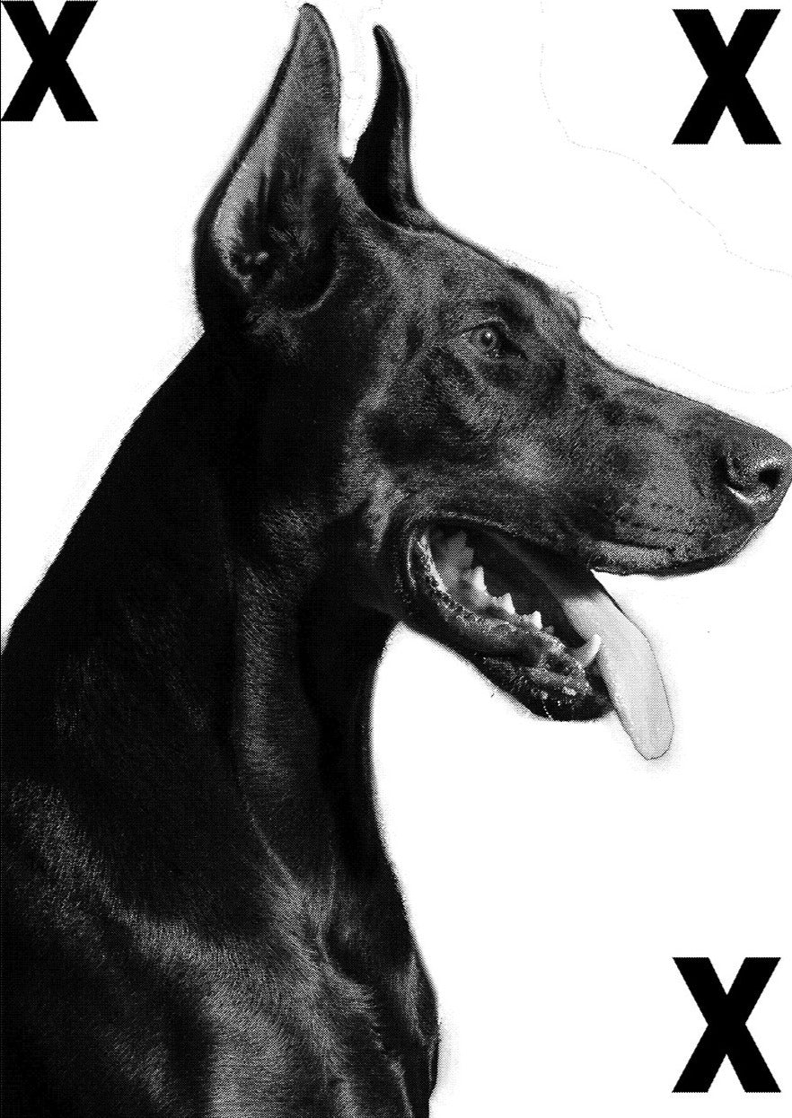 Doberman Pinscher portrait - High Detail Airbrush stencil HD stencils 