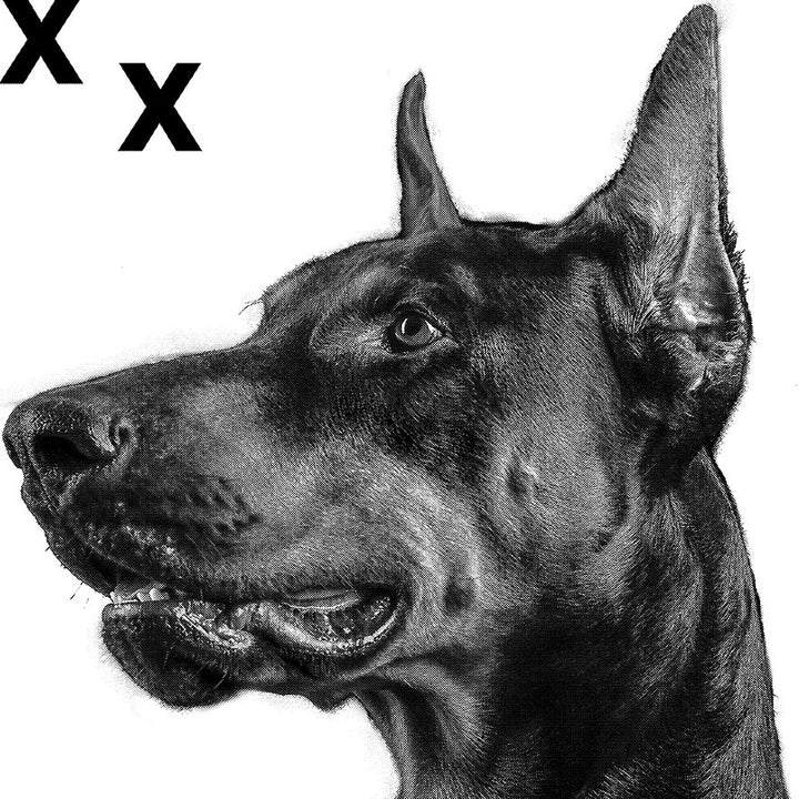 Dobermann portrait - Elegant Doberman - High Detail Airbrush stencil HD stencils 