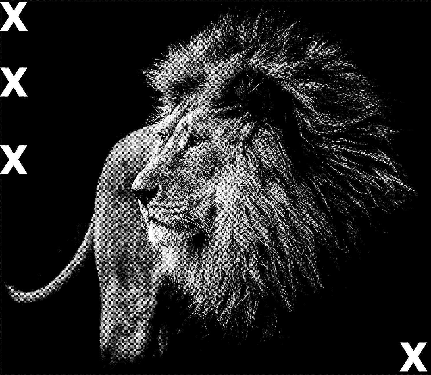 Dramatic Lion - King of the animals - Airbrush stencil