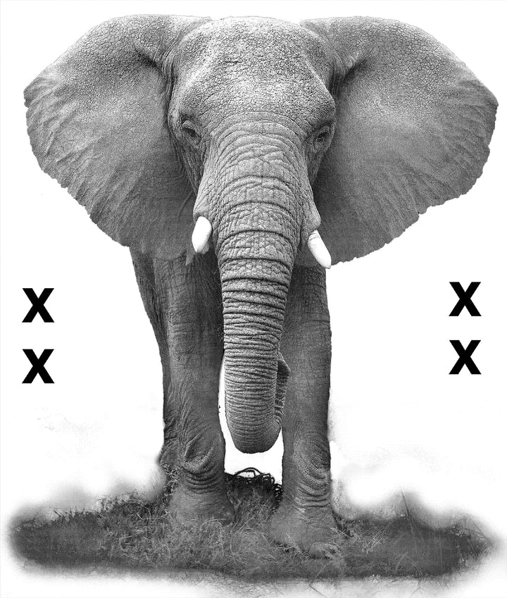 Elephant walking foward - Airbrush Stencil