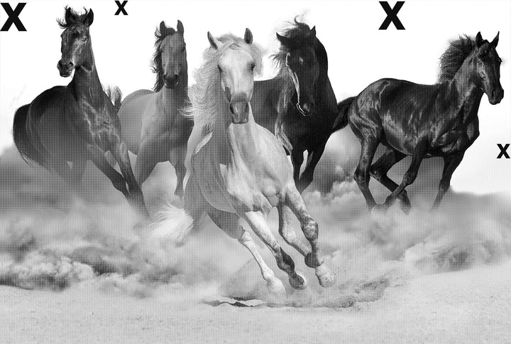 Horse herd run in desert sand storm -Airbrush Stencil 