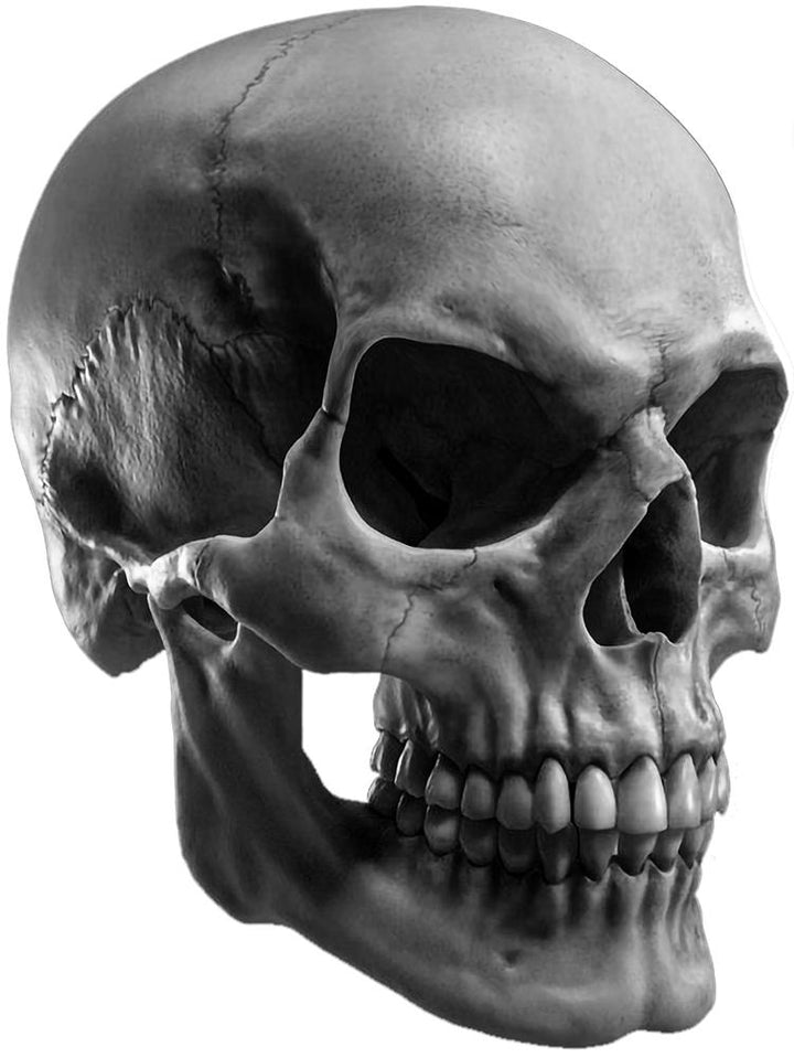 Mike Flores Skull Lesson