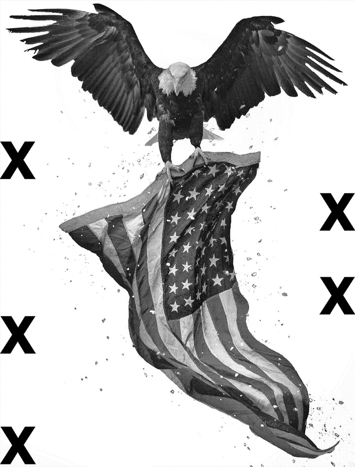 North American Bald Eagle flying with American flag - Patriotic concept - Airbrush stencil
