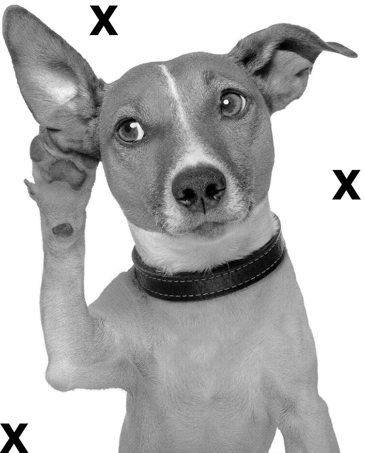 Silly dog with his paw up listening closely - Airbrush Stencil 