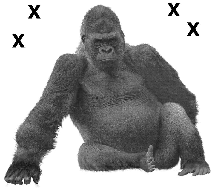 Silverback Gorilla Sitting - Airbrushing Stencil