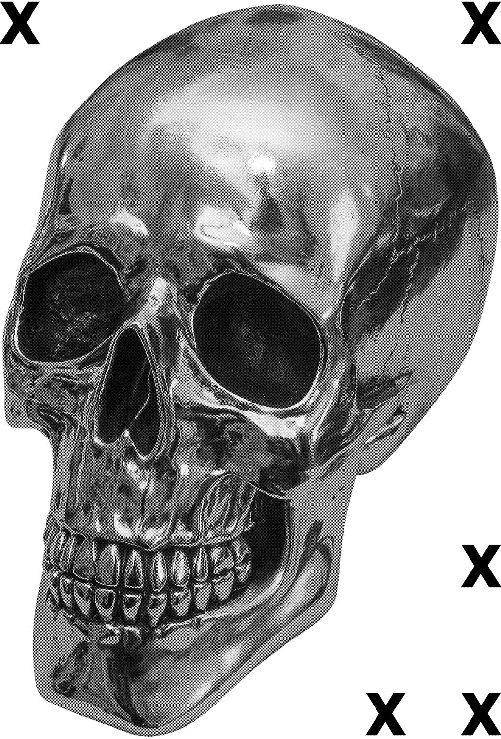 Three quarter view chorme skull - Airbrush Stencil