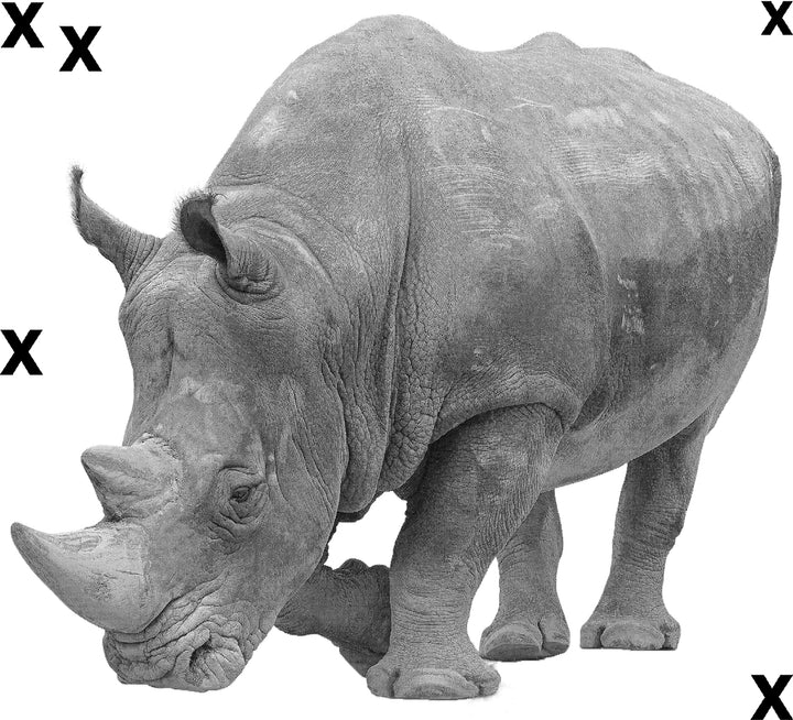 Whole body Rhinoceros - Rino - Airbrush Stencils