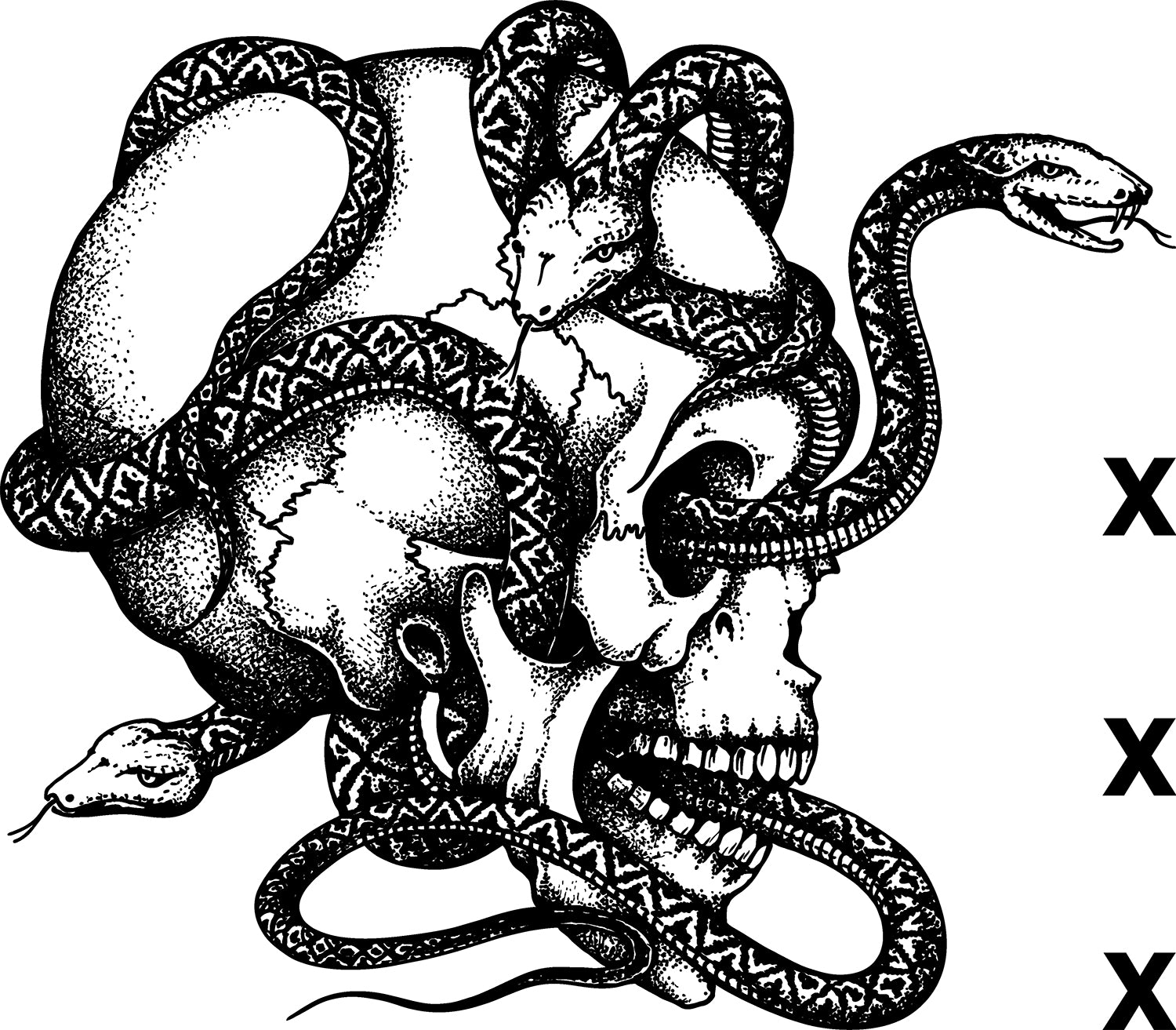 Skull with snake coming out of eye - line stencil- Airbrush Stencil